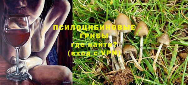 первитин Алексин
